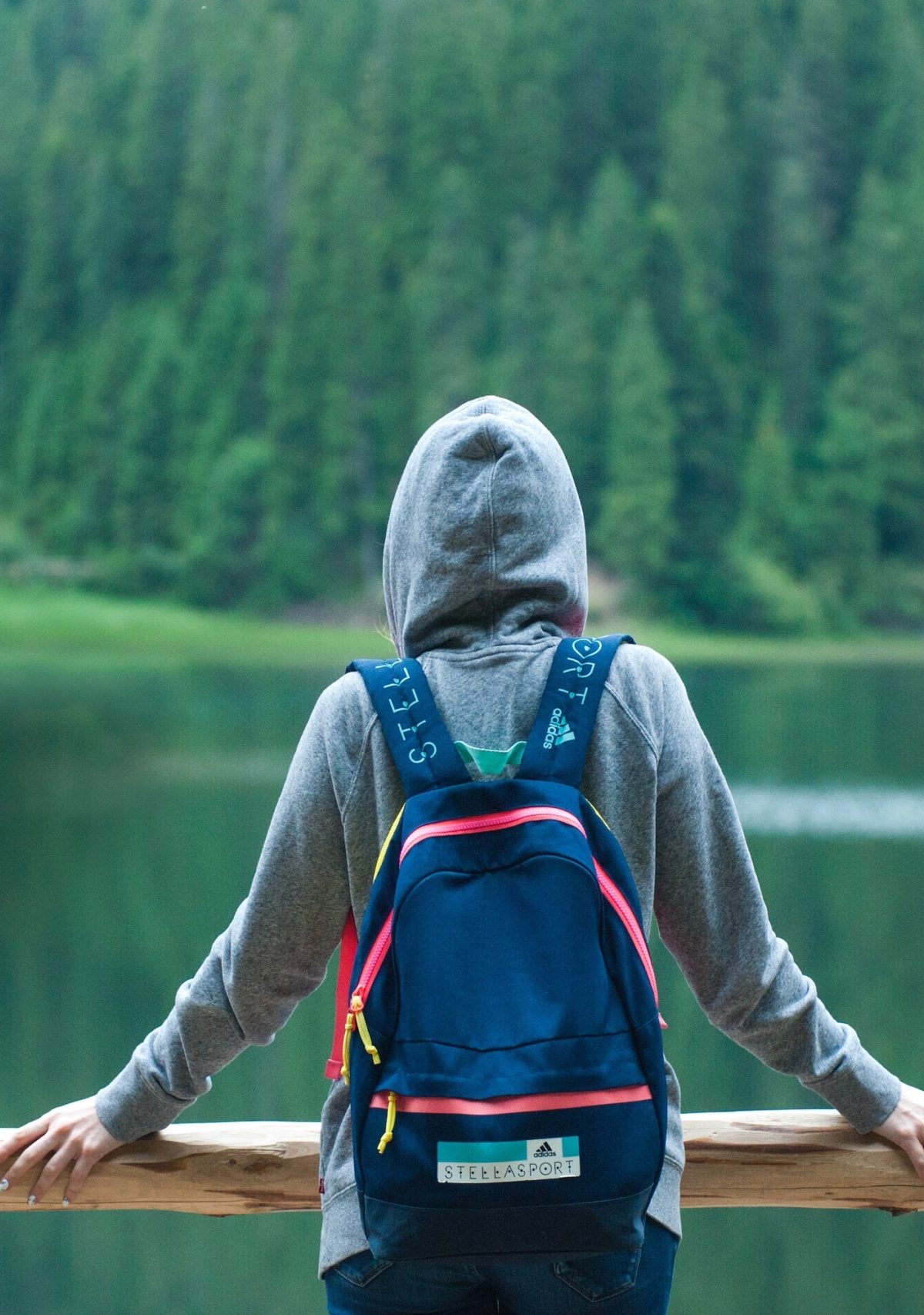 a person in a gray sweatshirt stands with their back to the camera in front of a lake and evergreen trees