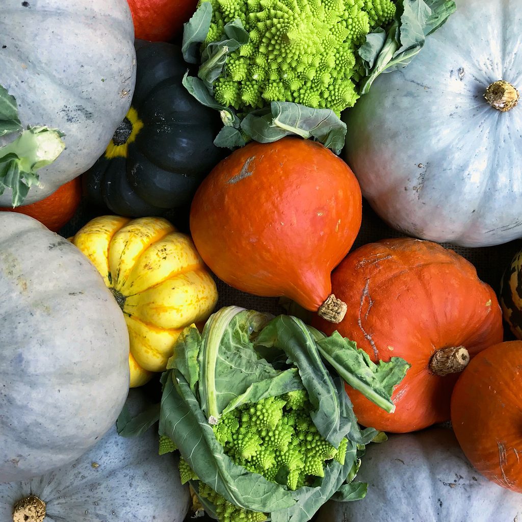 Pumpkins, squashes, and autumn vegetables