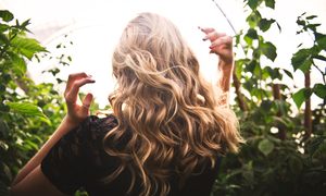 The back of a woman's head where you can see the sun hitting her highlights.