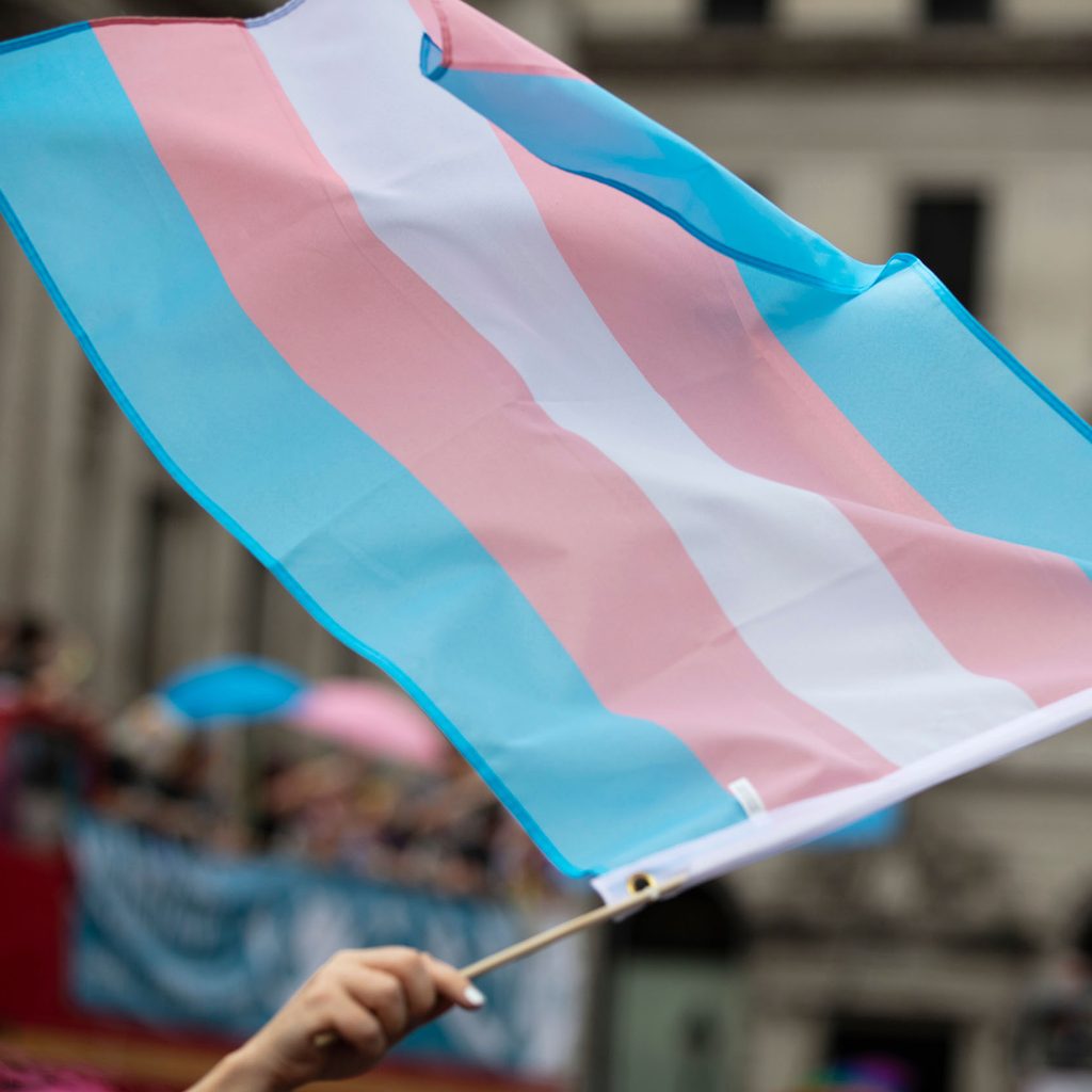 Transgender flag