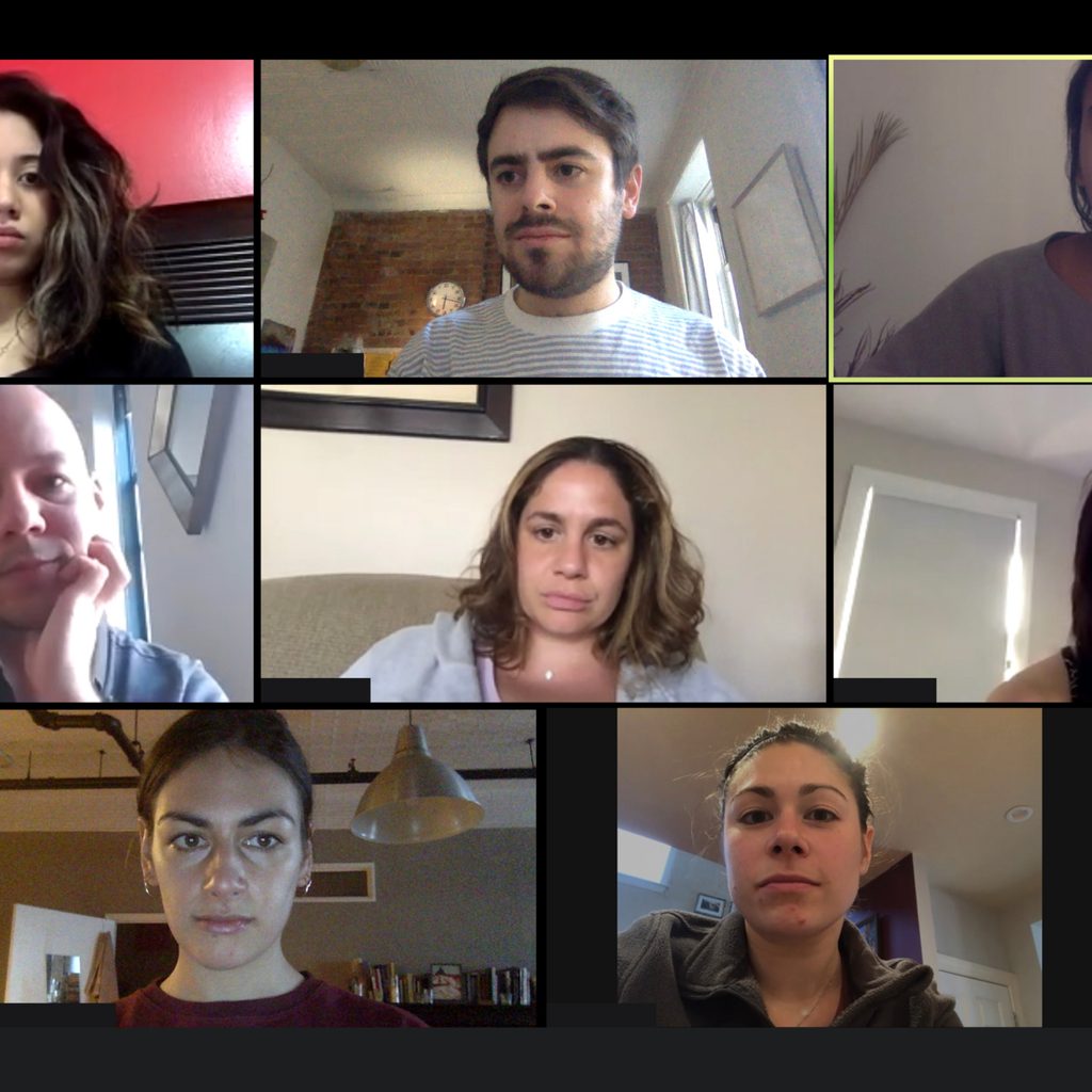 Zoom images during video call