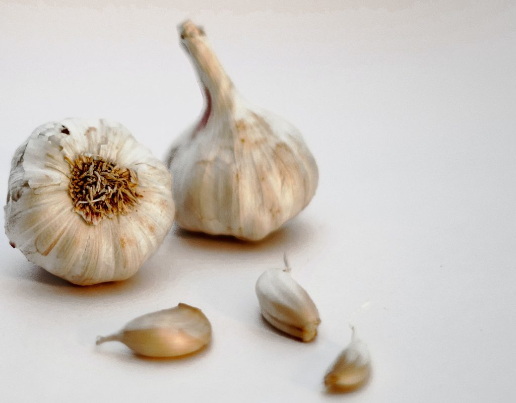 garlic immune system
