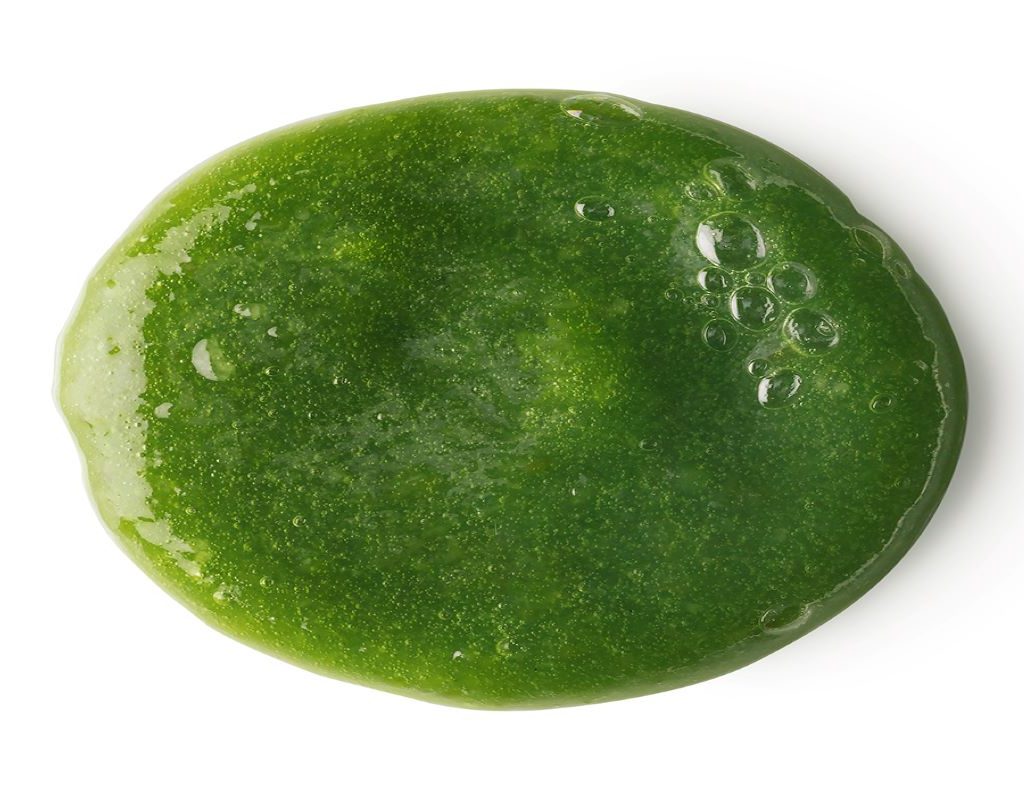 Wasabi Shan Kui shampoo from Lush Cosmetics