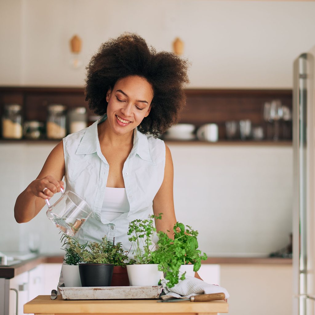 Woman watering indoor herb plants