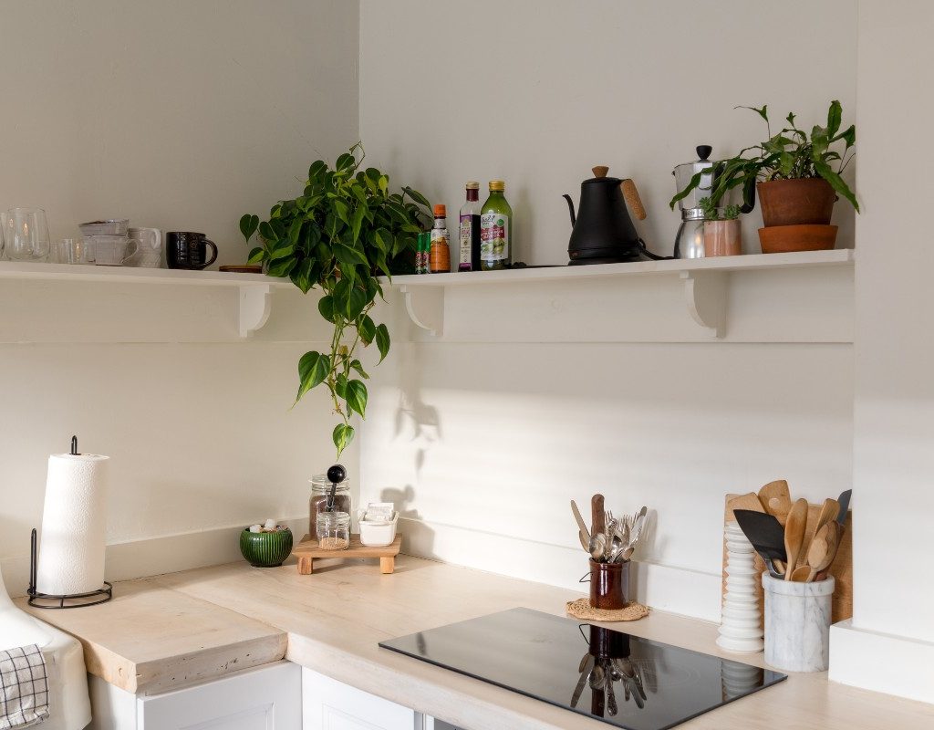 a corner of a kitchen counter. there's a floating shelf above the counter with greenery and kitchen supplies