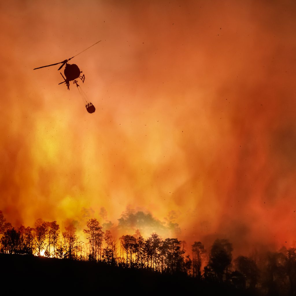 Helicopter assisting in extinguishing massive wildfire