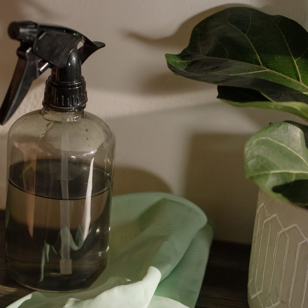 Spray cleaning solution, gloves, and a plant