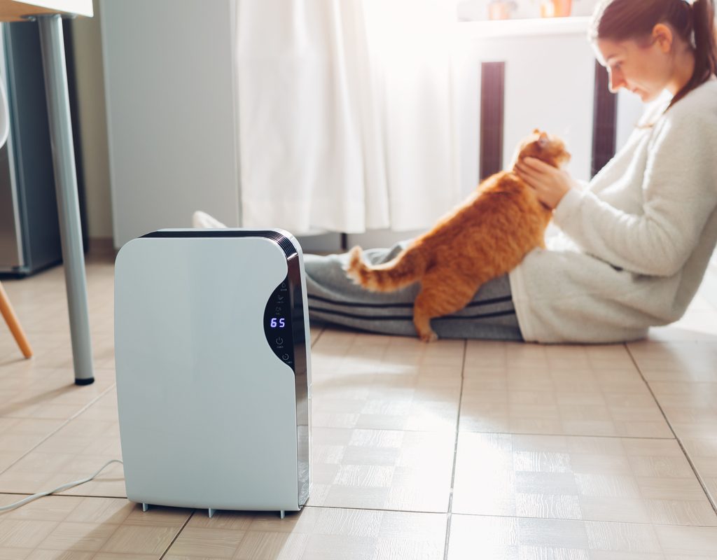 An air purifier with a woman and her cat in the background.