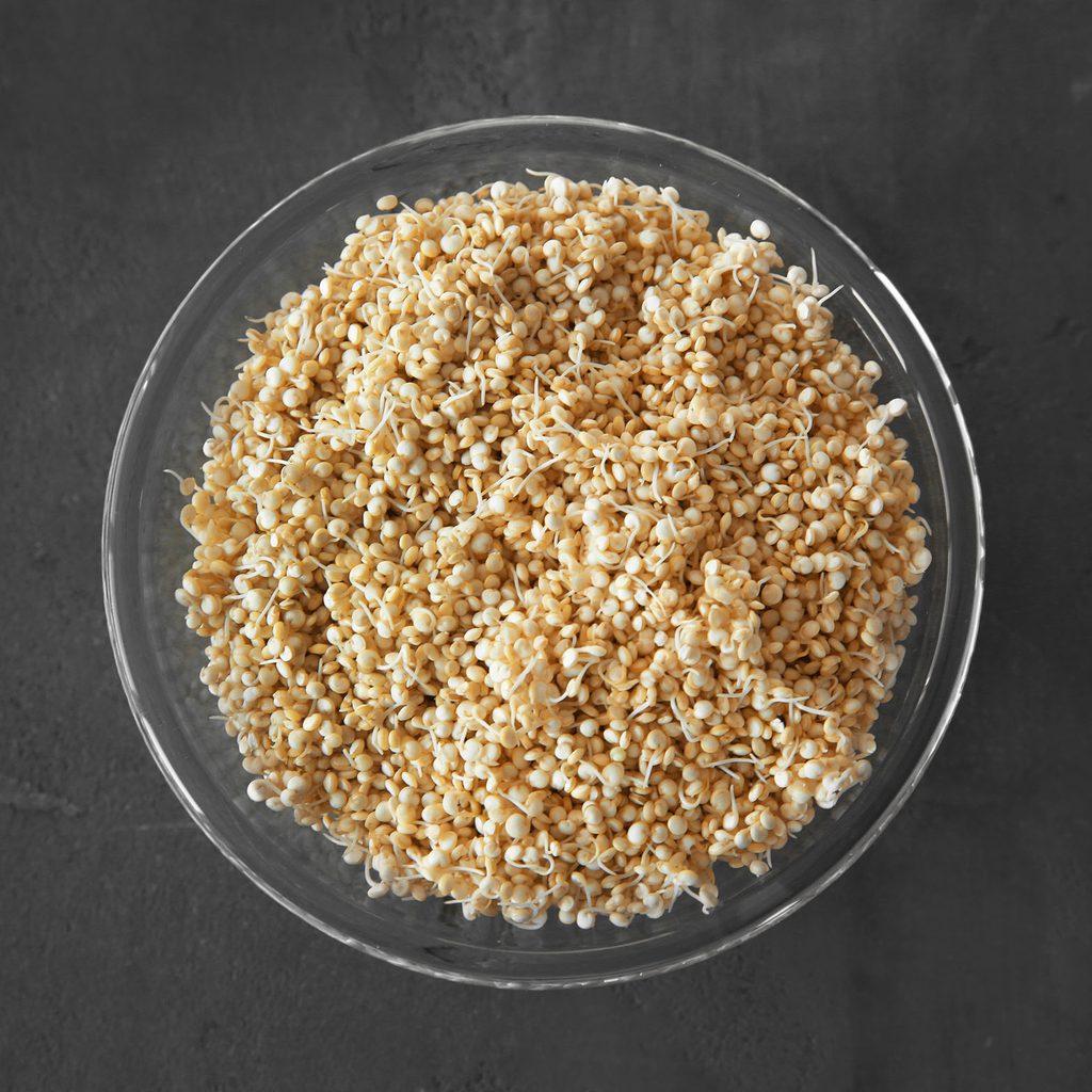 Sprouted quinoa in a bowl