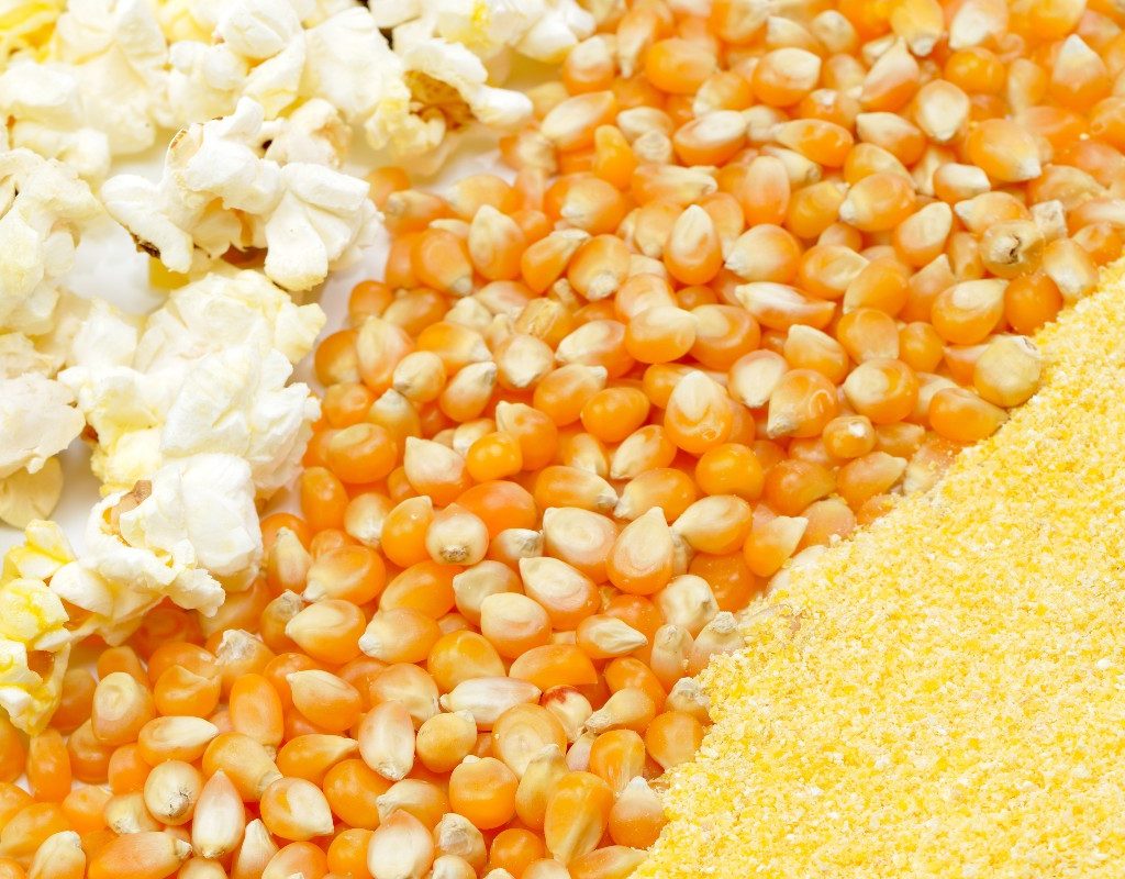 popcorn, kernels, and nutritional yeast