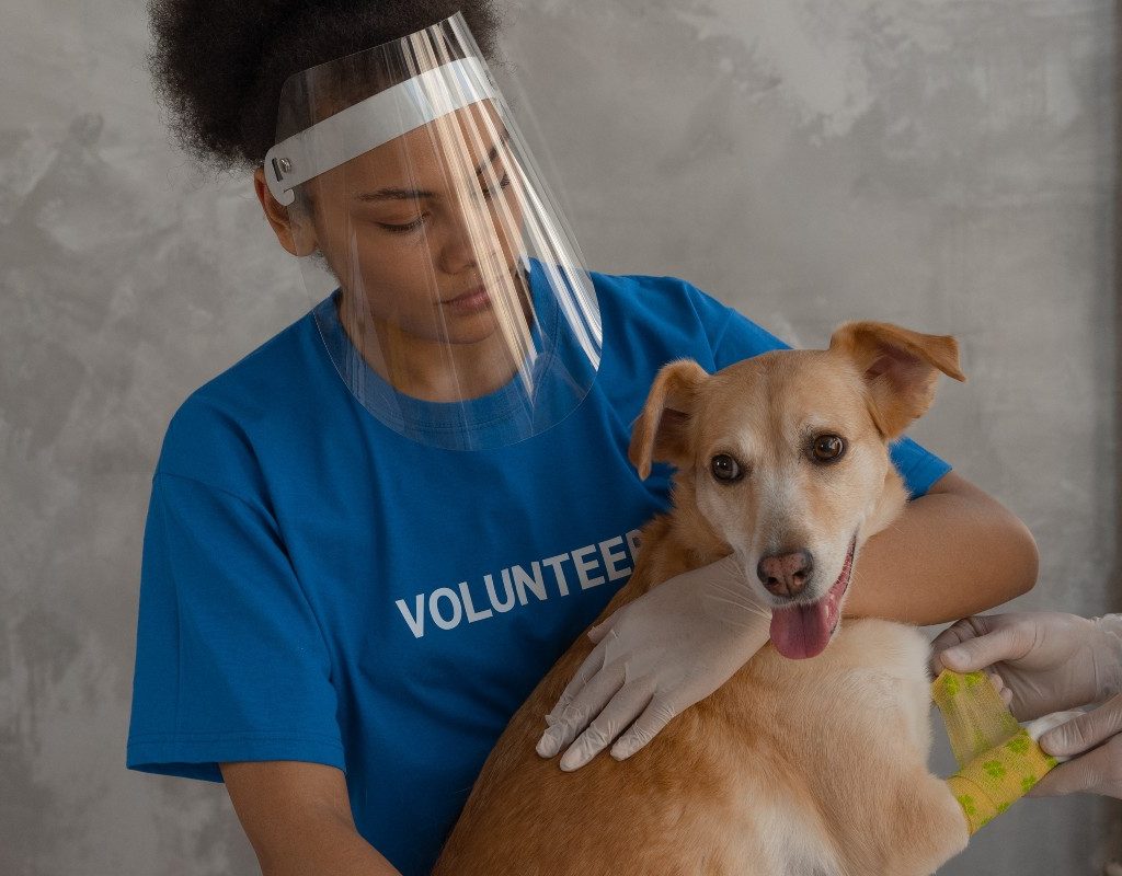 a woman in a face shield holding a dog