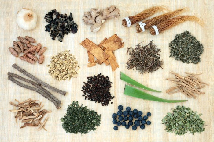 adaptogens and herbs