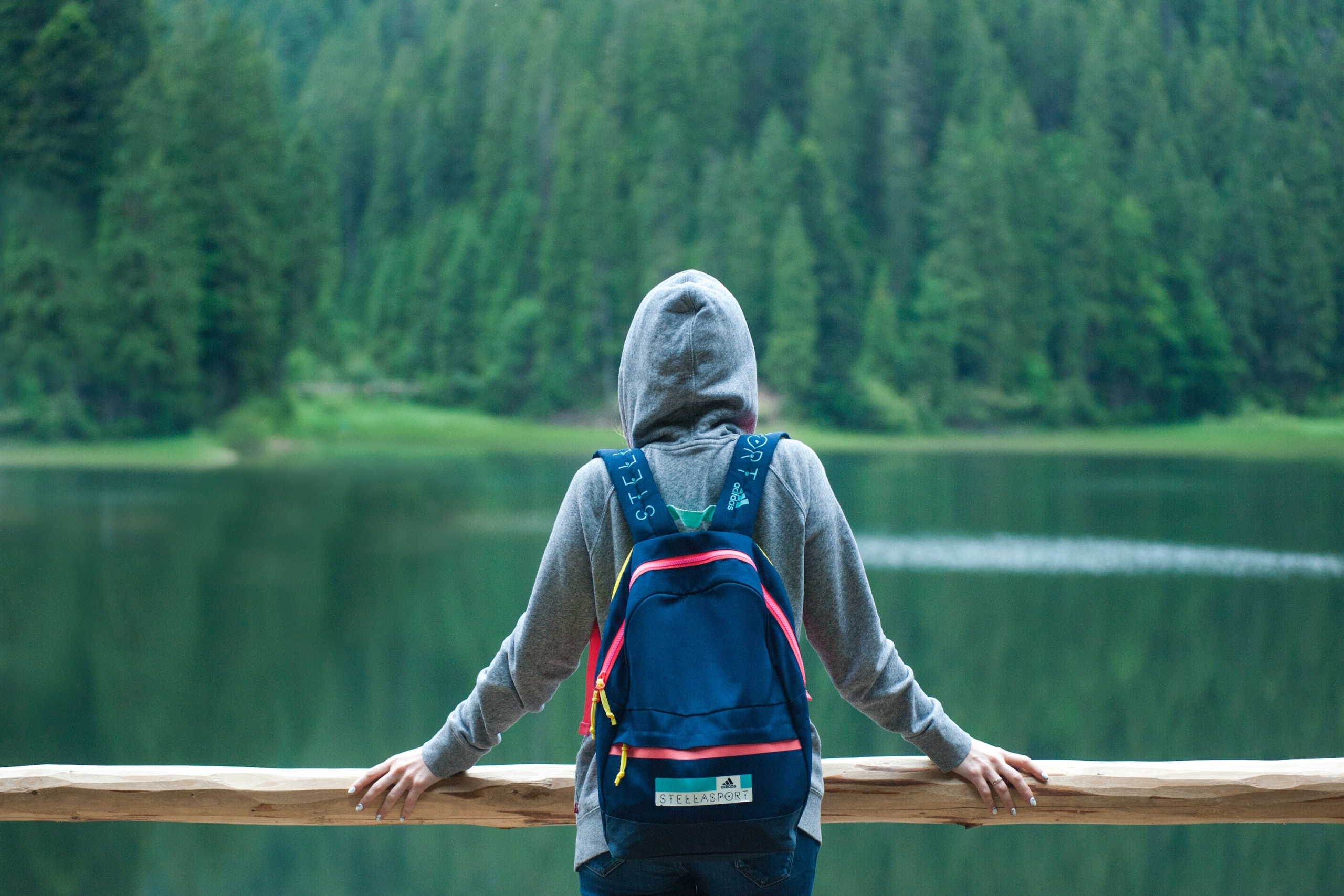 a person in a gray sweatshirt stands with their back to the camera in front of a lake and evergreen trees