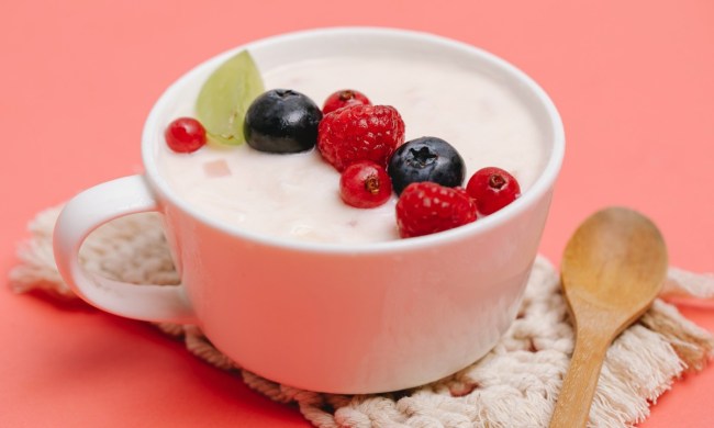 sugar free yogurt in mug