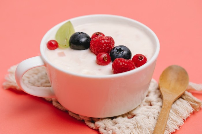 sugar free yogurt in mug