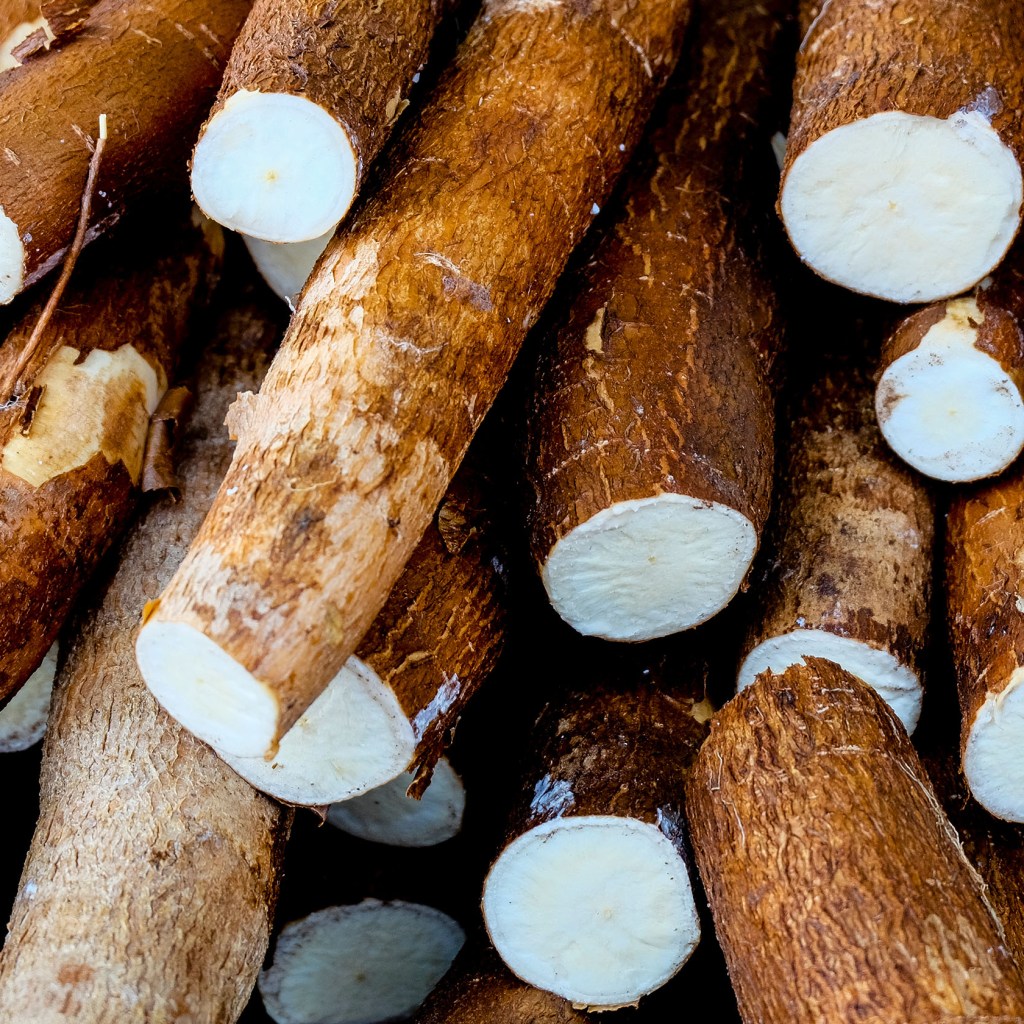 Cassava root