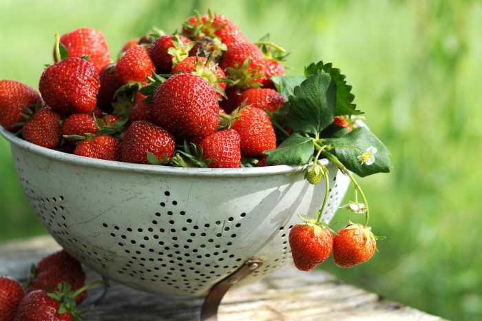Fresh strawberries in a colander