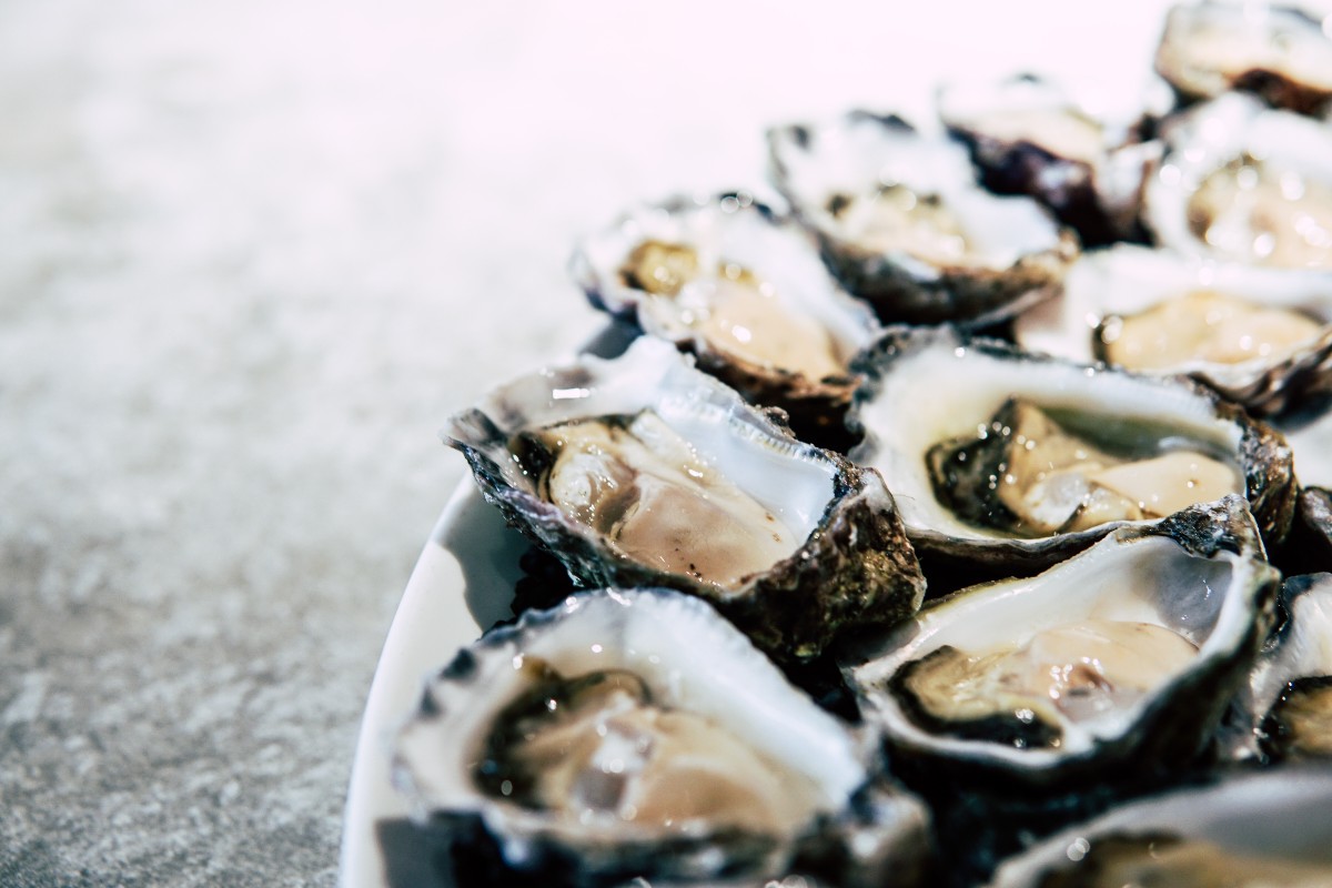 oysters-on-silver-background