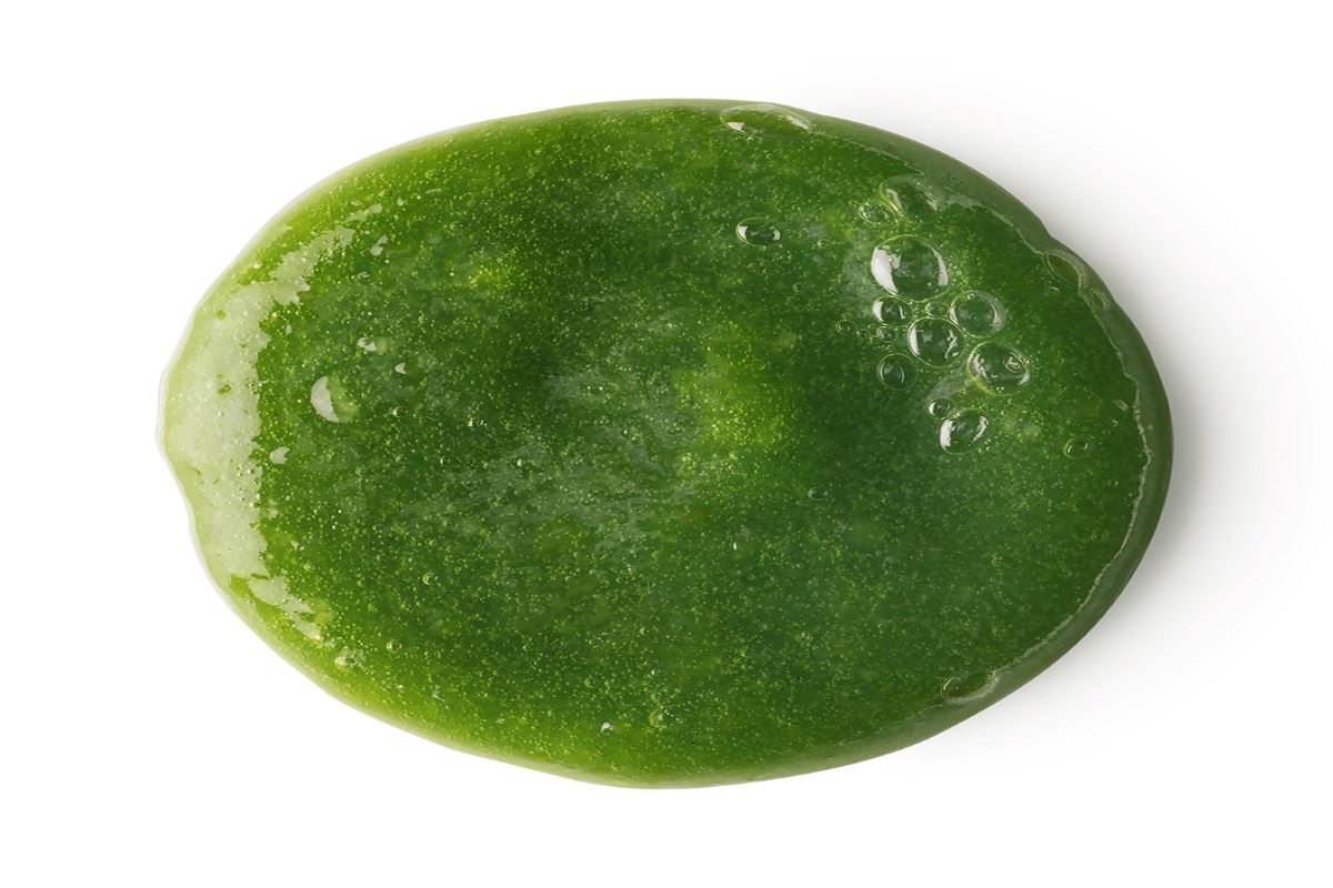 Wasabi Shan Kui shampoo from Lush Cosmetics