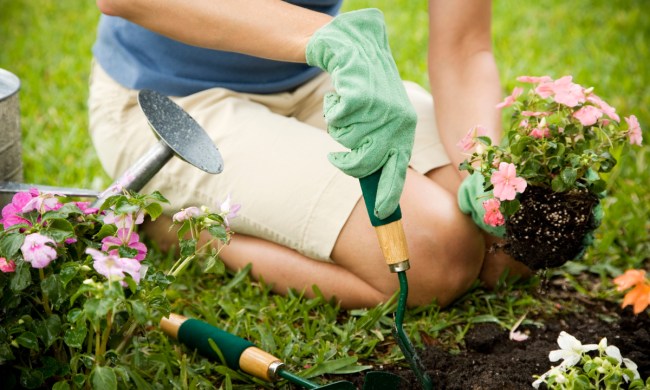 gardening workouts woman workout