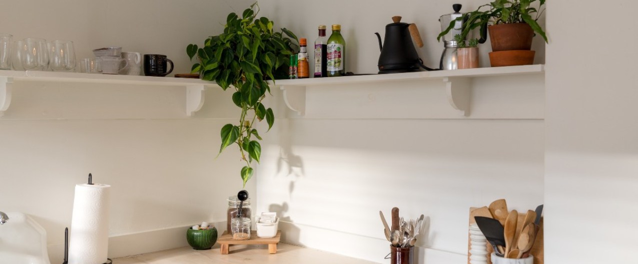 a corner of a kitchen counter. there's a floating shelf above the counter with greenery and kitchen supplies