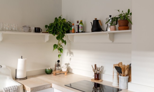 a corner of a kitchen counter. there's a floating shelf above the counter with greenery and kitchen supplies