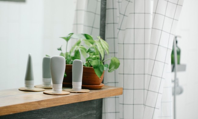a bathroom counter with three unbranded creams and plant