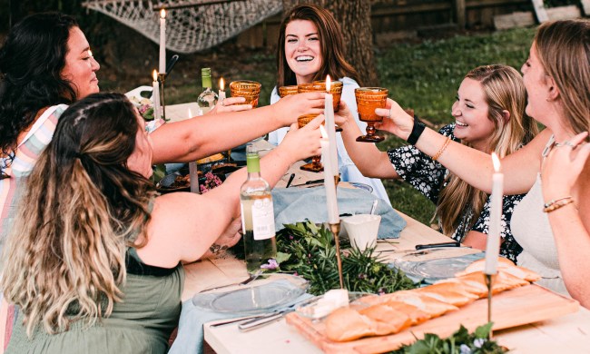Friends toasting at an outdoor party