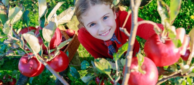 picking good apples girl
