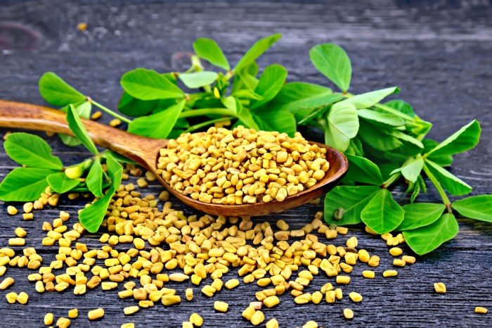 Fenugreek plant and seeds in a wood spoon.