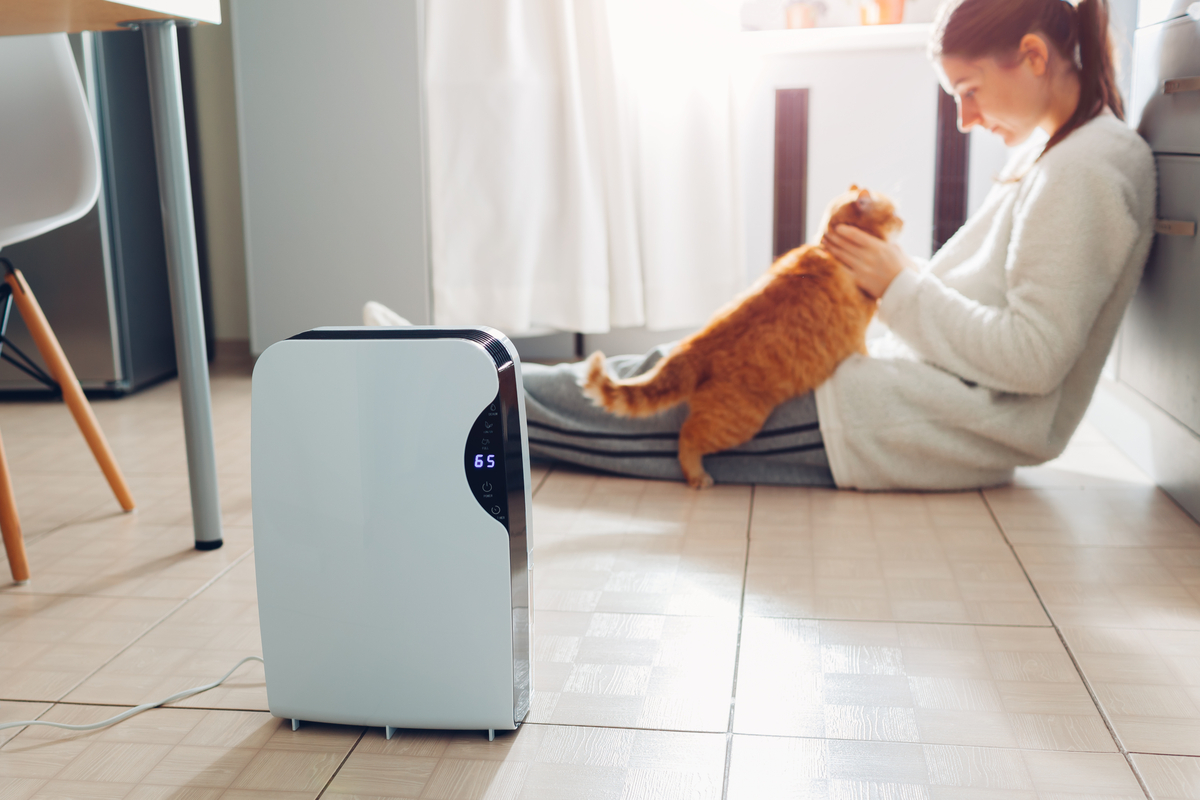 An air purifier with a woman and her cat in the background.