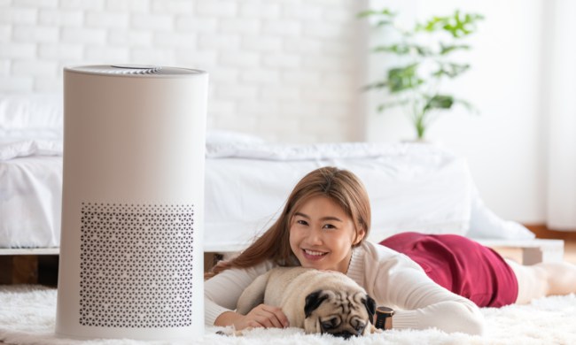 A woman and her pet lying on the floor next to an air purifier.