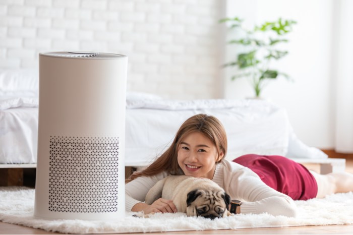 A woman and her pet lying on the floor next to an air purifier.