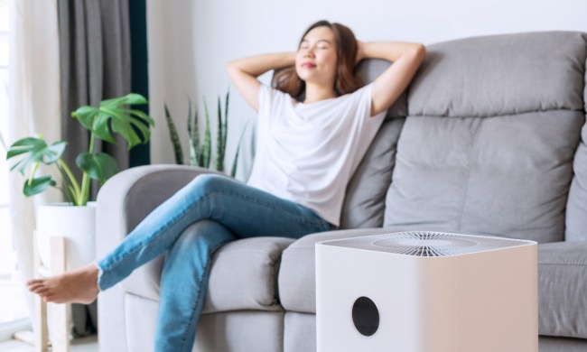 A woman enjoying the fresh air from her air purifier.