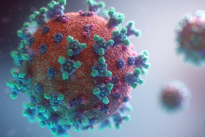 a visualization of the covid-19 virus
