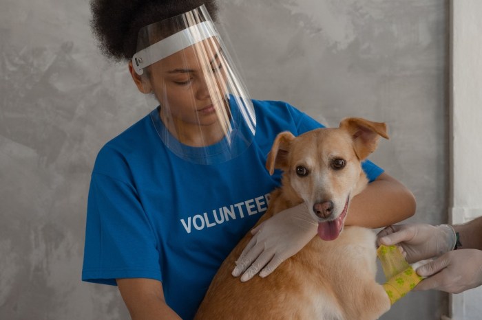 help ourselves by helping others woman face shield dog